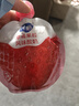 蒙牛纯甄草莓蓝莓果粒混合味风味吸吸酸奶 嚼酸奶酸牛奶 100g*20袋 实拍图
