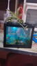 桌面鱼缸小型家用积木缸生态缸水族箱斗鱼缸带小夜灯氛围灯摆件 黑色鱼缸一个灯 实拍图