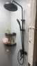万和（Vanward）淋浴花洒套装精铜卫浴花洒全套一体式增压花洒喷头浴室淋浴器79H 实拍图