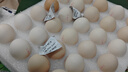京鲜生 无抗保洁鲜鸡蛋30枚/盒 健康轻食 礼盒送礼 1.5kg/盒 源头直发 实拍图