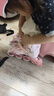 斯威（SWAY）溜冰鞋儿童男女童中小学专业轮滑鞋平花休闲滑冰旱冰鞋成人直排轮 【锁轮款】粉+一体支架+头盔护具 S (适合3-7岁)日常鞋码27-32 实拍图