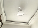 雷士（NVC）LED照明风扇灯吊扇灯智控全光谱普瑞灯珠1级能效未来光42寸包安装 实拍图