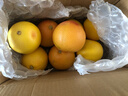 京鲜生 埃及进口红心西柚净重5斤装 单果220g起 新鲜水果  实拍图