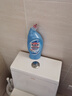 花王（KAO）原装马桶清洁剂650ml*2支套装 万洁灵双效洁厕液强力洁厕灵 实拍图