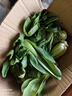 【东东买菜】四季小青菜自种大棚小油菜现摘超市涮火锅时令蔬菜 河南小青菜5斤装 净重 实拍图