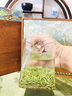 山水西湖绿茶特级毛尖茶叶250g2026新茶明前头采嫩芽春茶送长辈见家长礼盒 实拍图