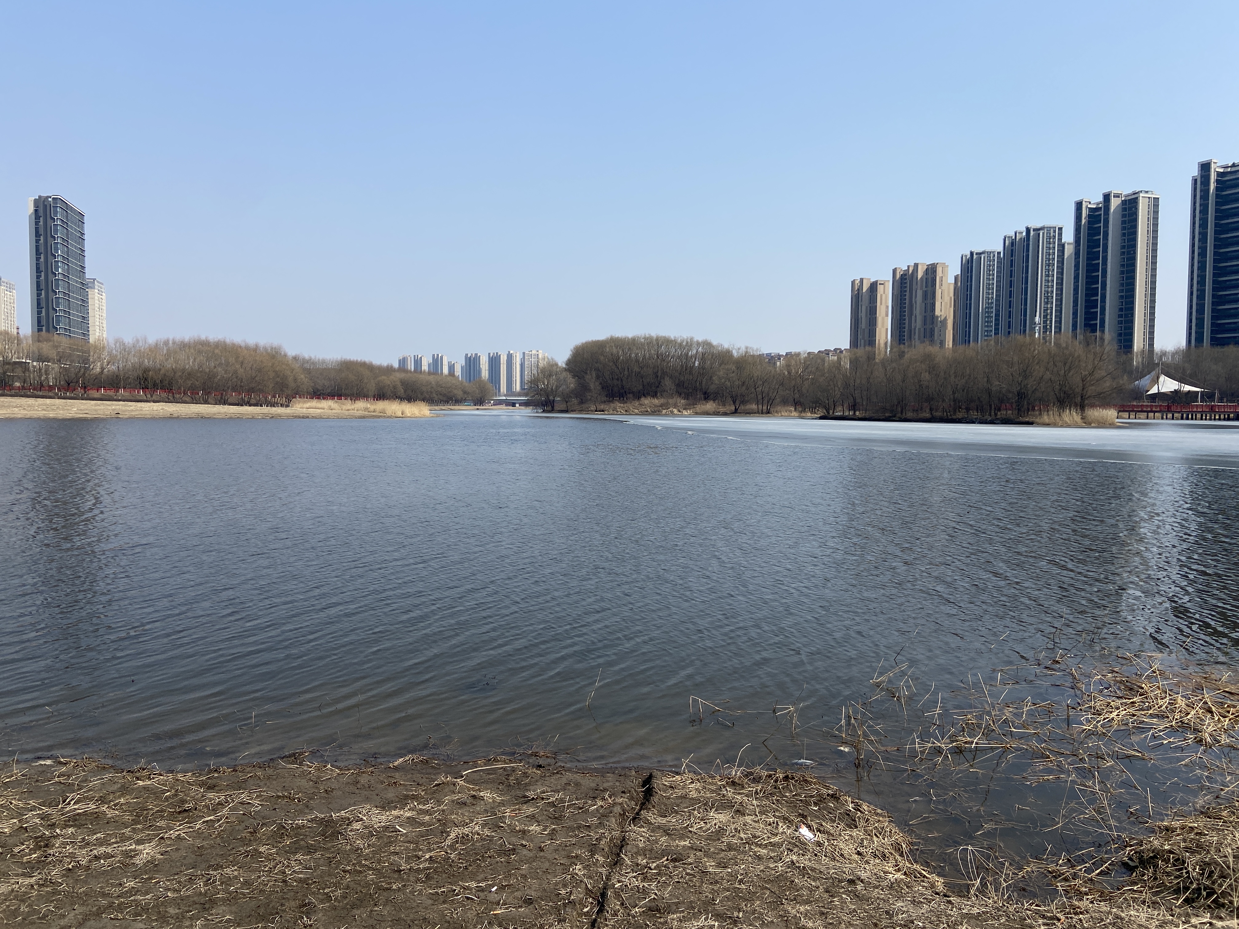 伊灿轻奢彩石多巴胺仿珍珠项链配饰女简约高级感锁骨链2025年新款颈链 轻奢彩石多巴胺项链配饰女 实拍图