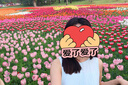 优衣库女装棉麻层叠连衣裙/无袖裙子26春夏新款482788 60 浅蓝色 M 实拍图