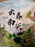 何赛赛春尖茶叶2026年新茶甘肃罐罐茶云南春茶雪峰绿茶兰州三泡台茶叶 250g 实拍图