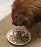 LEGENDSANDY蓝氏狗粮金毛柯基泰迪全犬种成犬幼犬荒野猎兔冻干犬粮1.5kg 实拍图