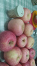 甜醉了 烟台苹果栖霞红富士新鲜水果生鲜山东特产脆甜整箱平果礼盒礼品 净重8.5斤80-90mm 实拍图