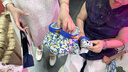CROCS卡骆驰贝雅儿童洞洞鞋户外包头童鞋沙滩鞋凉鞋拖鞋/207013/207012 海蓝-456 26 (155mm) 实拍图