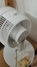 美的（Midea）【暴风循环】空气循环扇大风量摇头电风扇家用台式落地扇轻音卧室节能小风扇柔风轻羽扇 FGA24TQ 实拍图