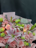 馨仪鲜花速递玫瑰花康乃馨花束送妈妈长辈礼物全国鲜花同城配送 19朵康乃馨百合混搭花束 实拍图