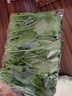 【24小时菜】菠菜苗250g(长度≤20cm) 实拍图