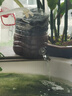 憨憨乐园 鱼缸活性炭【过滤材料500g】水质水族用品细菌活性炭滤材生物球  实拍图