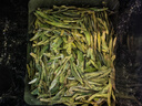 第一江南2026新茶绿茶龙井43茶叶明前特级100g茶叶礼盒罐装春茶自己喝送人 实拍图