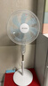 美菱（MeiLing）电风扇/落地扇 七叶家用四档加强风扇落地/交流定频风扇可拆卸轻音定时摇头电扇MFS-40白色款 实拍图