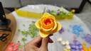 南极人A类抗菌可机洗夏被 加大双人夏季空调被子被芯夏凉被 220*240cm 实拍图