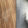 加大扫把簸箕家用软毛组合单个扫地撮箕扫帚加厚头发套装笤帚 扫把套装两件套【浅灰】 实拍图