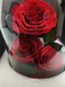 JoyFlower永生花礼盒玫瑰花七夕情人节生日礼物结婚纪念日高级感送女生朋友 实拍图