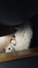 华元宠具（hoopet）猫咪悠悠球电动智能升降挂门逗猫玩具悬挂式弹力绳自嗨解闷逗猫棒 实拍图