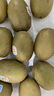 佳沛（zespri）新西兰 新果季 阳光金奇异果10粒巨大果单果146-175g 猕猴桃 实拍图