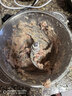 小熊（Bear）绞肉机家用小型不锈钢 绞馅机电动碎肉机 辅食机家庭绞肉绞菜多功能一体机 自动打肉馅机QSJ-L03K3 实拍图