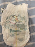 帮宝适超薄透气清新帮拉拉裤新生儿婴儿尿不湿尿片透氧Pro XL62 实拍图