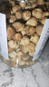 川珍白豆蔻80g罐装 白蔻仁白扣火锅烧肉卤料包香辛调料煲汤食材 实拍图