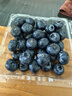 怡颗莓Driscoll's 云南蓝莓Jumbo大果18mm+ 6盒125g/盒新鲜水果礼盒 实拍图