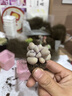 多肉组合盆栽阳台盆栽喜阳植物新手福利按图发货品种花卉好养 可爱嘟嘟四种【加盆土】 实拍图