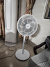 美的（Midea）【品质推荐】七叶轻音柔风电风扇/家用省电落地扇/台式电扇/广角摇头节能宿舍小型风扇 SAE35CA 实拍图