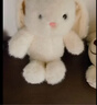 名创优品（MINISO）塔妮兔乖乖坐姿公仔兔子毛绒玩具儿童玩偶抱枕娃娃送礼生日礼物 实拍图