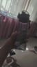 希乐（cille）塑料水杯tritan男女学生大容量便携户外运动健身随手杯子灰600ml 实拍图