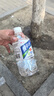 【非东鹏】快补水呀白桃柠檬西柚味电解质饮料运动饮品活动 530mL*3瓶【口味随机】 实拍图