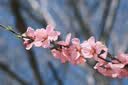 富士（FUJIFILM）X-S20 微单相机 16-50mm套机 AI智能对焦 750张续航增强 全新Vlog模式 高便携高性能 实拍图
