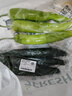 长黄瓜约600g 实拍图