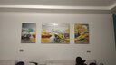 Sixpoetry 客厅装饰画现代简约沙发背景墙壁画轻奢三联晶瓷画大气高档挂画 福禄双收（铝合金外框） 晶瓷画左右50*70+中间100*70亮面 实拍图