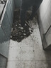 德高透明防水胶免砸砖聚脲防水涂料厨卫墙面屋顶补漏堵漏胶 300g 实拍图