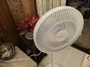 格力（GREE）【花精灵Se版】一级能效直流变频轻音节能遥控电风扇卧室落地扇静音家用风扇柔风桌面电扇 实拍图