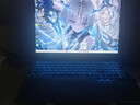 机械革命【国家补贴】极光X潮玩版 酷睿i7HX 游戏本笔记本电脑(i7-14650HX 16G 1T RTX5060 300Hz 灰) 实拍图