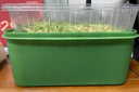 九千谷育苗盆芽苗菜盘种植发芽盆发豆芽神器黄绿豆芽无土栽培水培盘3918 实拍图