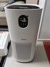 东芝（TOSHIBA）大白梨空气净化器除花粉过敏源甲醛pm2.5等离子消杀母婴家用病毒细菌医护级卫健委备案家用 实拍图