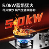 康佳（KONKA）燃气灶煤气灶双灶具家用 5.0kW大火力内铜火盖嵌入式台式 防爆不锈钢 JZY-G420Y(DH35)（液化气） 实拍图