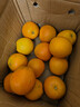 土八鲜湖北秭归伦晚脐橙纽荷尔鲜橙新鲜水果手剥甜橙礼盒 奋进橙9-10斤【单果150g+】 实拍图