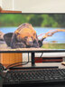 华为MateView GT 27英寸显示器 2K/200Hz/DP/HDMI/P3广色域/旋转升降壁挂/硬件低蓝光 星空黑 新品 实拍图