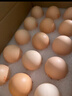 牧族 可生食新鲜鸡蛋 NSF认证 无抗生素 无菌蛋单枚50g 可生食30枚 实拍图