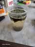 拜杰一次性杯子加厚航空杯大号啤酒杯300ML*50只硬塑料杯白酒杯饮料杯 实拍图