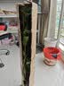 桂花树苗盆栽室内四季桂花卉植物金桂丹桂庭院大树浓香型绿植开花 【四季桂】粗1cm 高0.8-1米土球发货 实拍图